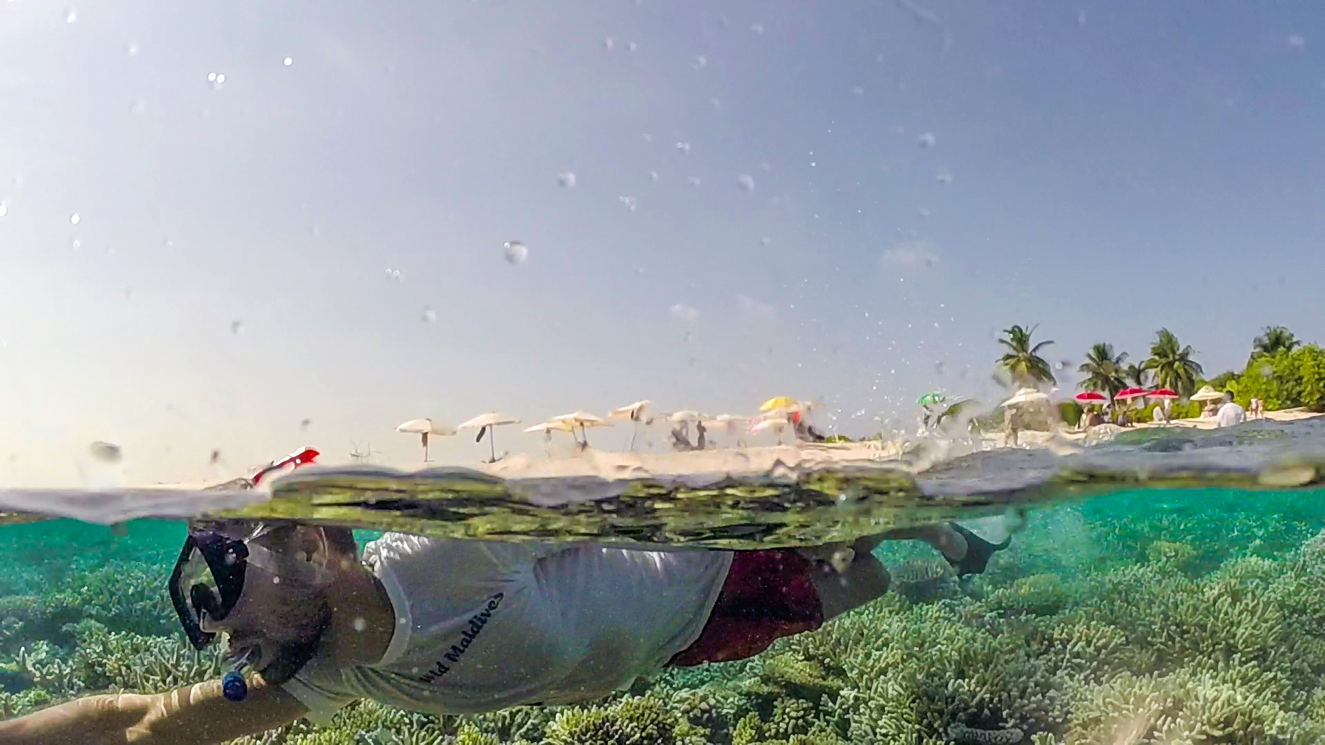 Maldives snorkeling