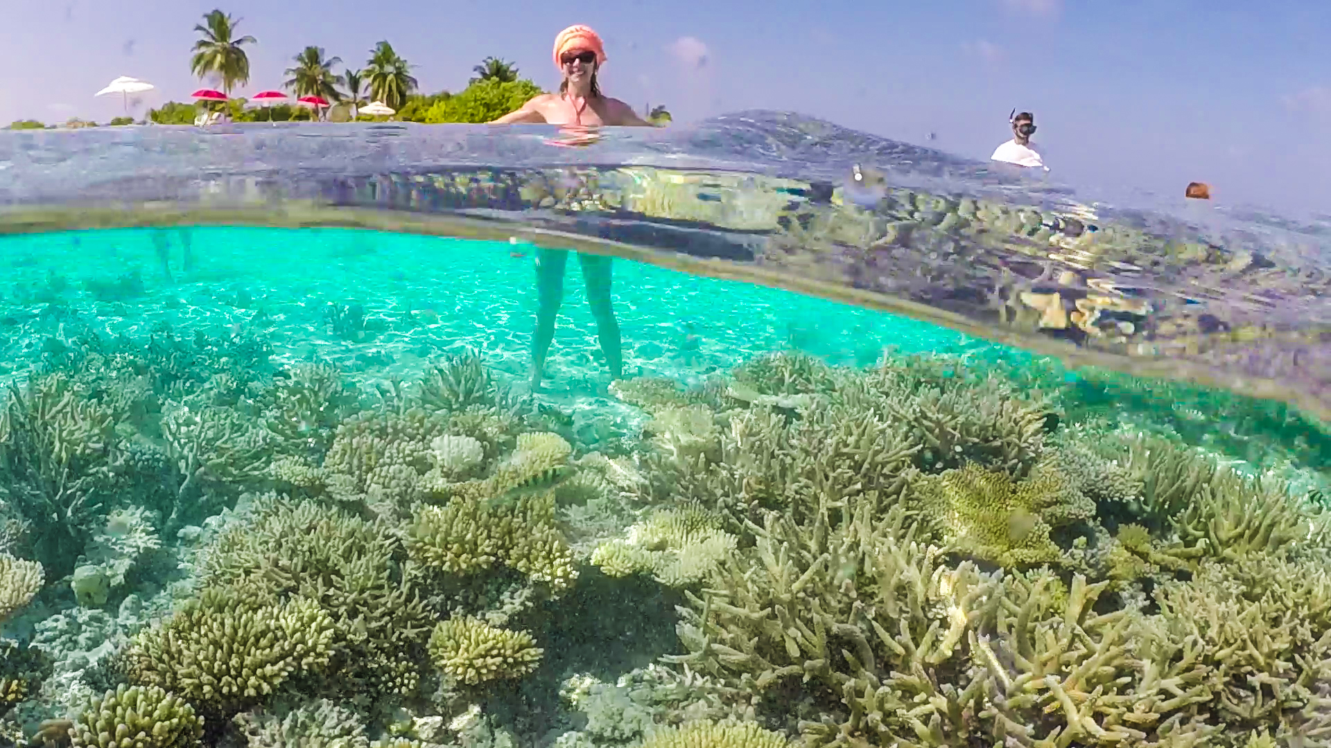 Maldives coral reef