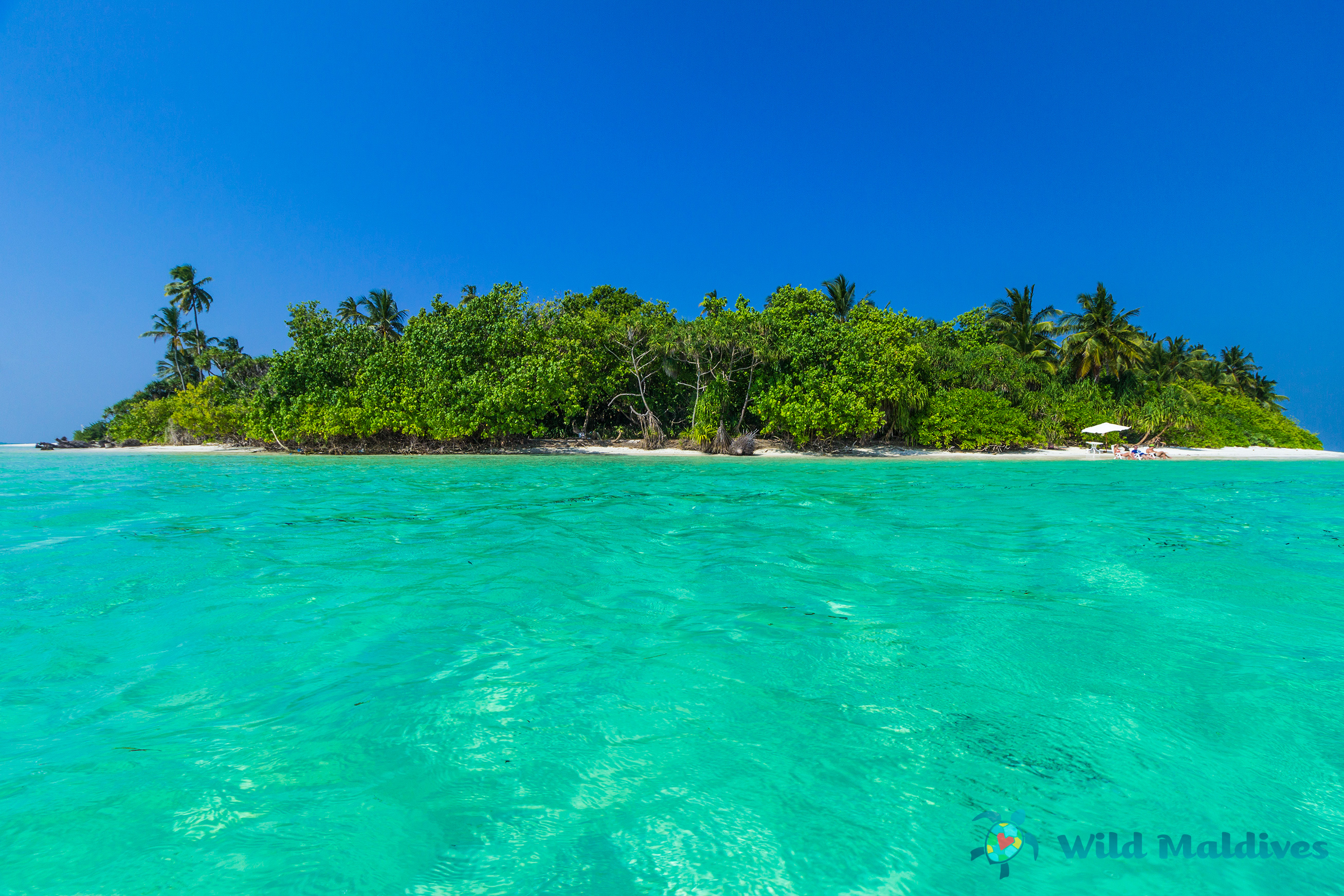 baa atoll maldives