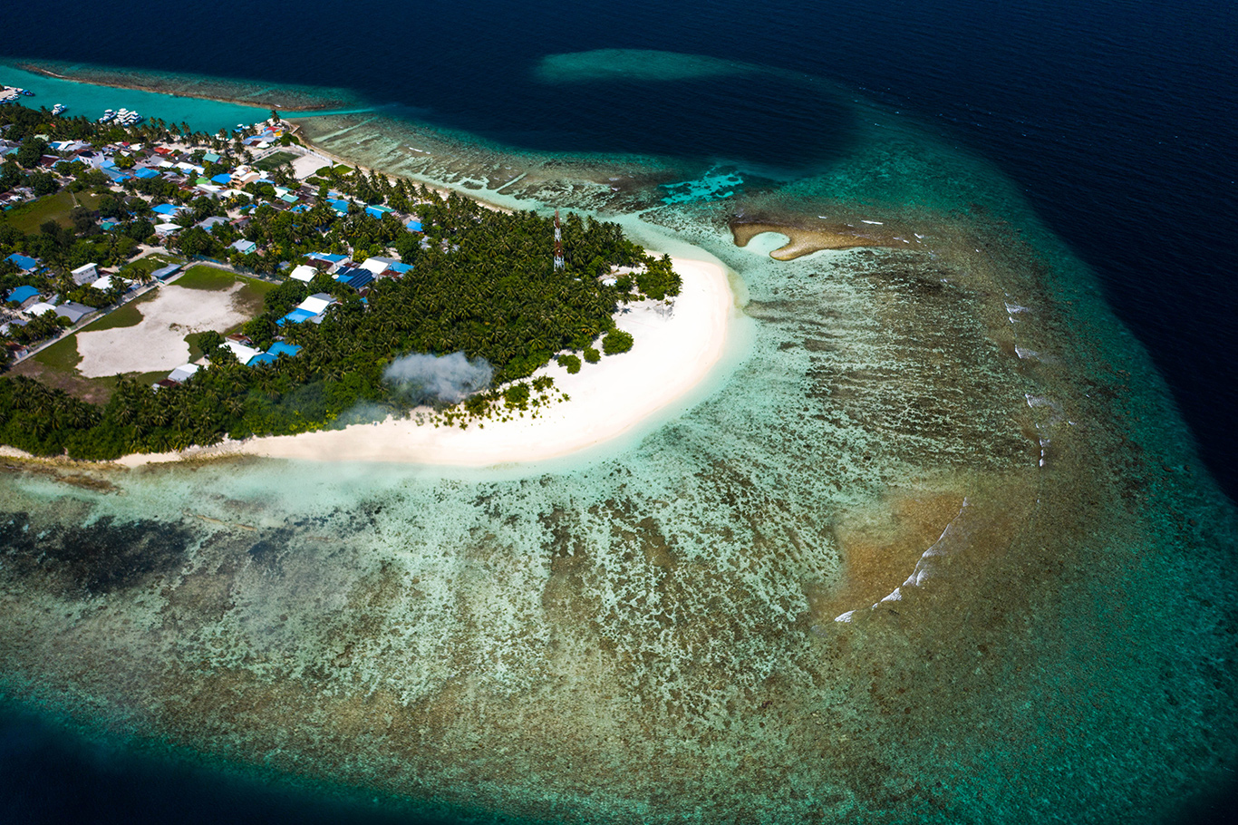 Omadhoo - Wild Maldives