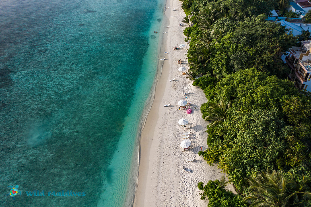 Ukulhas island beach in Maldives