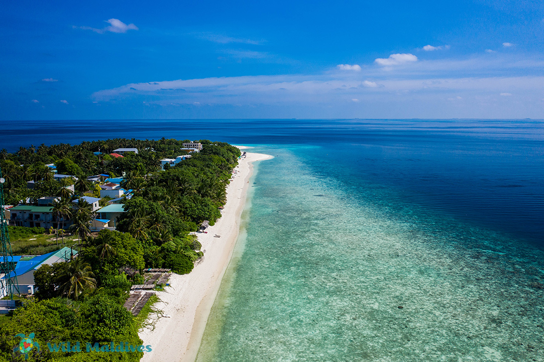 Ukulhas house reef