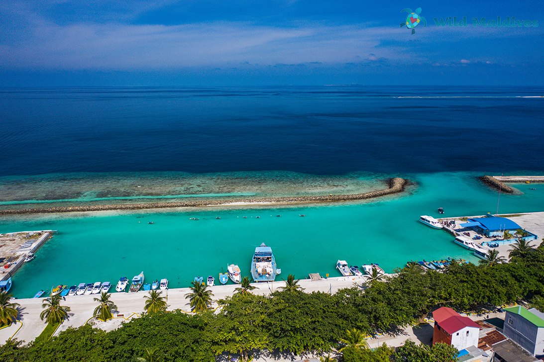 Ukulhas island harbour