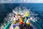 “Ocean Fitness” in the Maldives: Aquatic Program! 