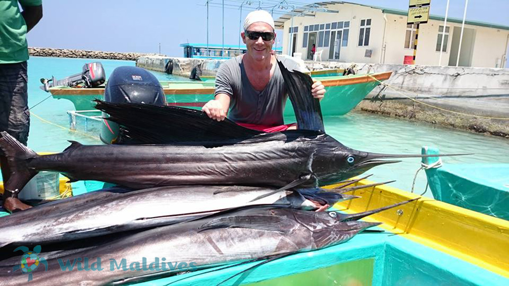 Marlin in Maldives