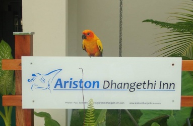 Ariston Dhangethi Inn